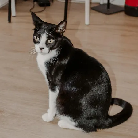 Хостел Rostelbem